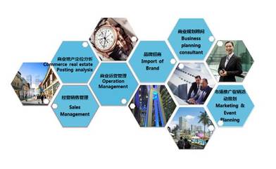 三大品牌布局四大區(qū)域，花樣年商業(yè)目標(biāo) 2020年運(yùn)營14個(gè)項(xiàng)目，強(qiáng)化投資管理